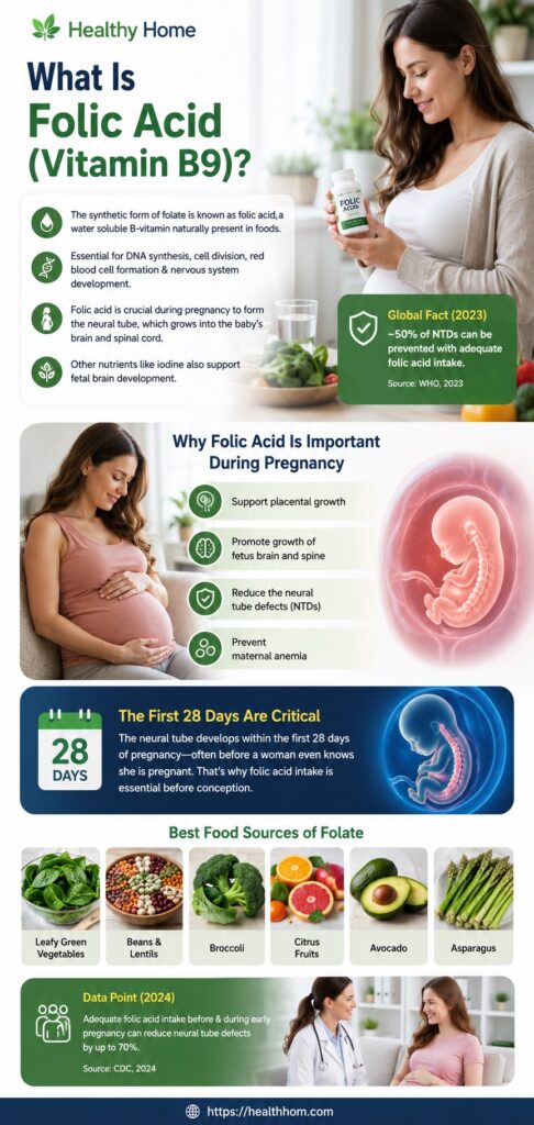 Why Folic Acid is Important During Pregnancy?