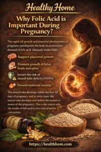 Why Folic Acid is Important During Pregnancy?