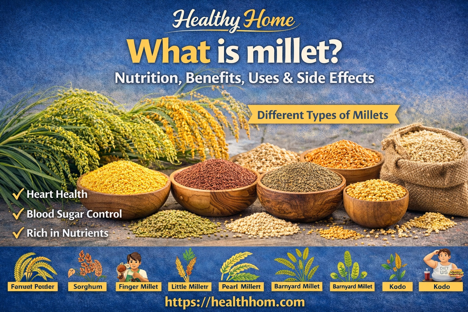 What is millet ? Nutrition, Benefits, Uses & Side Effects