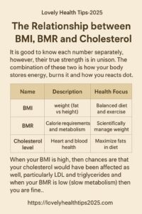 Relationship between BMI, BMR and Cholesterol