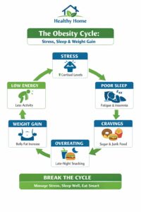 The Obesity Cycle